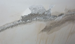 寝室墙壁渗水怎么解决 墙体渗水解决方法