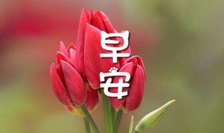 新的一天新的开始说说 新的一天新的开始心情说说