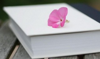 生日励志祝福语 励志生日祝福语