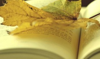 新婚祝福语创意简短 有创意的新婚祝福语