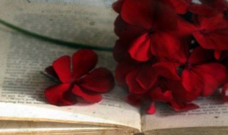 创意生日祝福语简短 简短创意生日祝福语