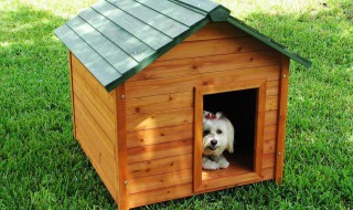 盖狗屋方法 diy狗屋制作