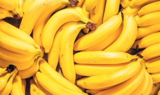 成熟的香蕉形状为什么大都是弯的 未成熟的香蕉是直的吗
