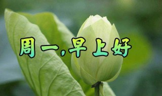 周一朋友圈早安心语 适合周一早上发朋友圈的早安说说