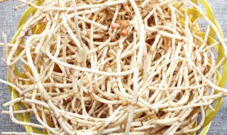 折耳根不适合哪些人吃 哪些人不适宜吃折耳根