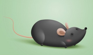 家里进老鼠了怎么驱走 如何赶走家里的老鼠