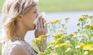 为什么感冒不能喝鸡汤 感冒不能喝鸡汤的原因分析