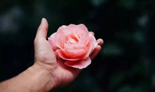 每日一善超话句子 每日一善超话句子文案