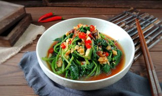 红薯叶的保存方法和时间 如何保存红薯叶