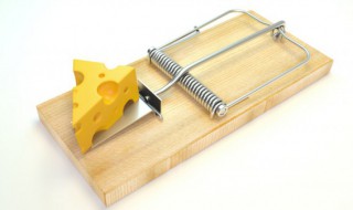 家里有老鼠怎么解决 家里如何灭鼠