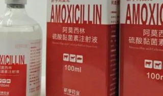 阿莫西林不能和什么一起吃 服用阿莫西林的禁忌