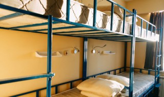 大学宿舍能不能养宠物 大学宿舍能养宠物吗