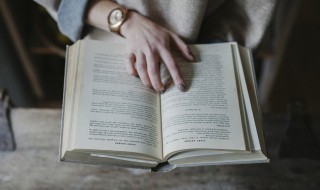 关于感悟美的句子摘抄 关于感悟美的句子摘抄有哪些