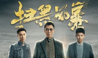 扫黑风暴一共多少集 扫黑风暴介绍