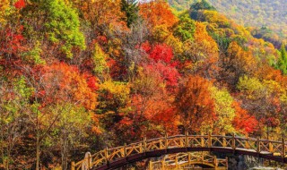 本溪有什么好玩的地方景点 本溪好玩的景点有哪些