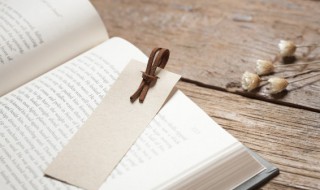 政者正也子帅以正孰敢不正的意思 政者正也子帅以正孰敢不正的解释