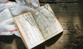 躬逢其盛什么意思 躬逢其盛意思是什么