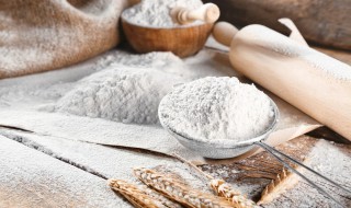 面粉可以代替低筋面粉吗 能不能用面粉代替低筋面粉