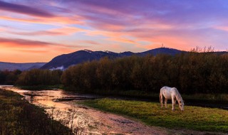 白马过隙是啥意思 白马过隙的意思