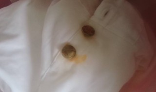 衣服上的锈点怎么消除 衣服上的锈点如何消除