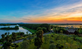南沙湿地公园旅游攻略 南沙湿地公园旅游指南