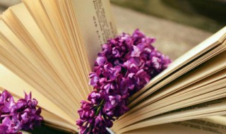 夏天的四字词语大全 描写夏天的四字词语及其解释