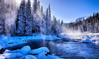 白皑皑的意思 白皑皑解释