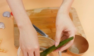 笔套怎么清洗干净 笔套清洗干净的方法