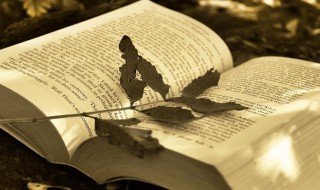 管家婆是什么意思 管家婆解释