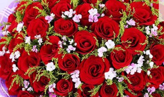 33玫瑰花数量的含义 33玫瑰花数量的寓意