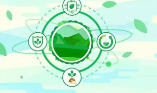 高质量发展是指 高质量发展指的是什么呢