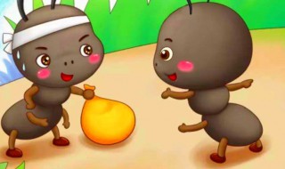 被蚂蚁咬后又红又肿又痒怎么办 被蚂蚁咬后的正确做法