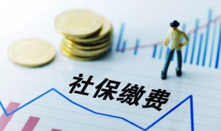社保基数什么意思 社保基数如何解释