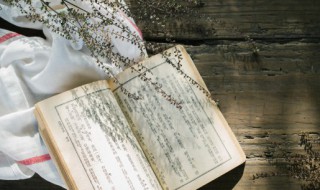 侠之大者为国为民出处 关于侠之大者为国为民出处