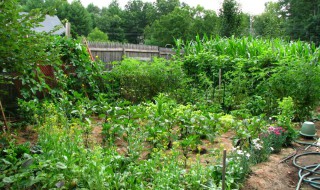 亮盾使用方法 亮盾使用方法是什么