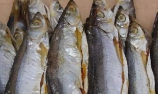 一直下雨腌的鱼晒不干怎么办 一直下雨腌的鱼晒不干解决方法