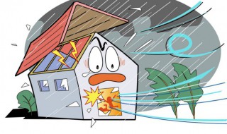 台风怎么预防和自我保护 如何预防台风