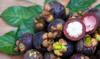 山竹什么味 山竹的简介