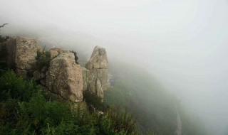 会当凌绝顶一览众山小出处及意思 会当凌绝顶一览众山小介绍