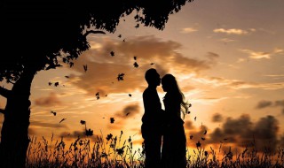 999977代表什么意思 999977是什么梗