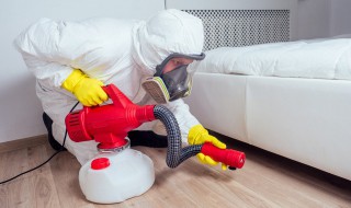 四害现在指的是哪四种 四害现在具体指的是哪四种