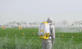 家里有豆象怎么清除 清除家里有豆象方法