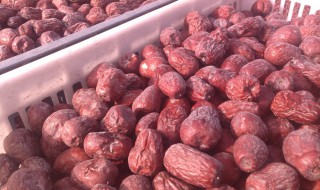 擂枣为什么叫擂枣 擂枣为何叫擂枣