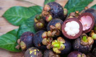 山竹壳上面的黄东西是什么 山竹外壳上的黄点是什么