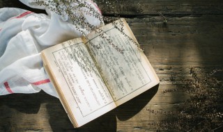 嘴动不如行动经典语录 嘴动不如行动经典语录简单介绍