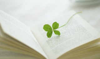 笑场经典语录 笑场的句子精选