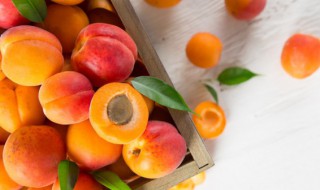 水果a几b级是什么意思 水果a几b级的介绍