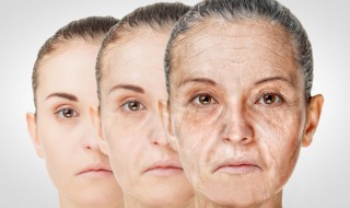 干细胞真的可以抗衰老 干细胞能不能抗衰老