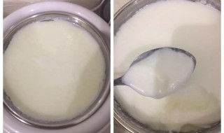 盆盆奶是什么意思 盆盆奶是什么东西