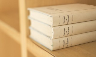 冰可乐什么梗 冰可乐解释